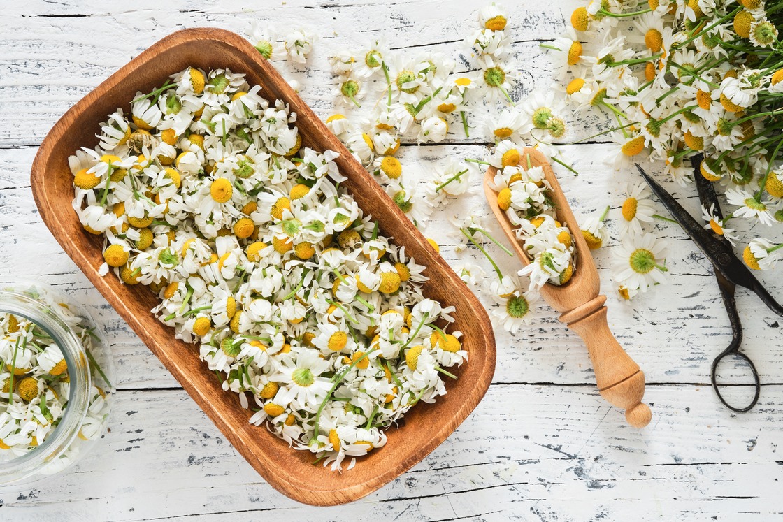 Herbes et fleurs  Mélange doux pour le sommeil